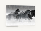 Galloping Through Snow, black and white horses in snow, landscape canvas wall art print ready to hang
