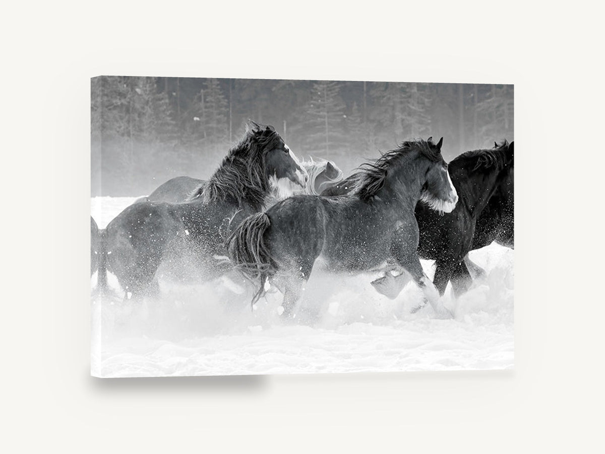 Galloping Through Snow, black and white horses in snow, landscape canvas wall art print ready to hang