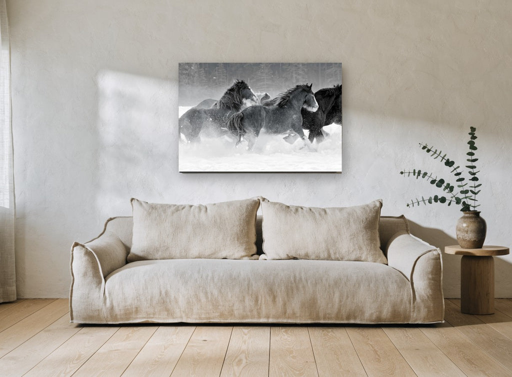 Galloping Through Snow landscape canvas print on the wall of a living room