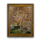 Gold Ornate Outer Frame