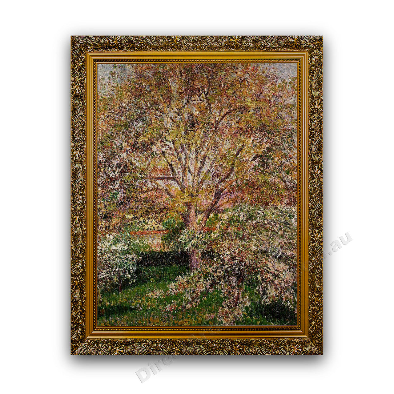 Gold Ornate Outer Frame