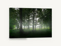 Green Woodland Haze, misty green forest clearing photograph, landscape canvas wall art print ready to hang