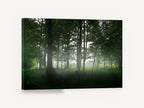 Green Woodland Haze, misty green forest clearing photograph, landscape canvas wall art print ready to hang