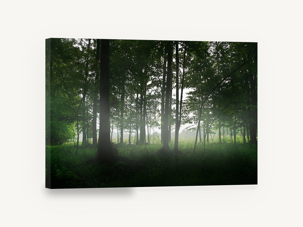 Green Woodland Haze, misty green forest clearing photograph, landscape canvas wall art print ready to hang