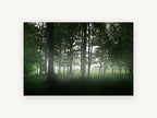 Green Woodland Haze, misty green forest clearing photograph, landscape canvas wall art print, front view
