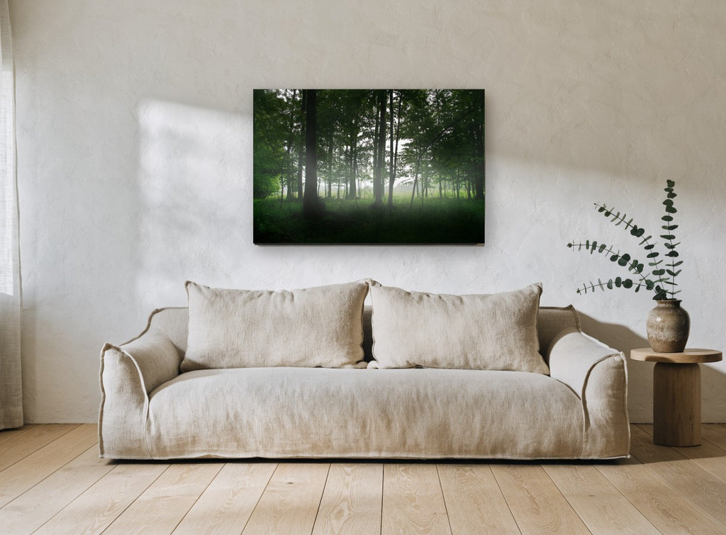 Green Woodland Haze landscape canvas print on the wall of a living room