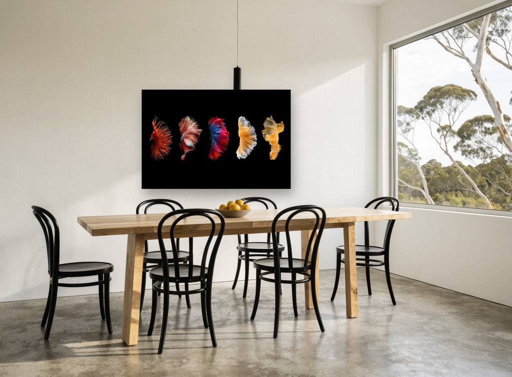 Five Fins in Motion animal canvas print on the wall of a dining room