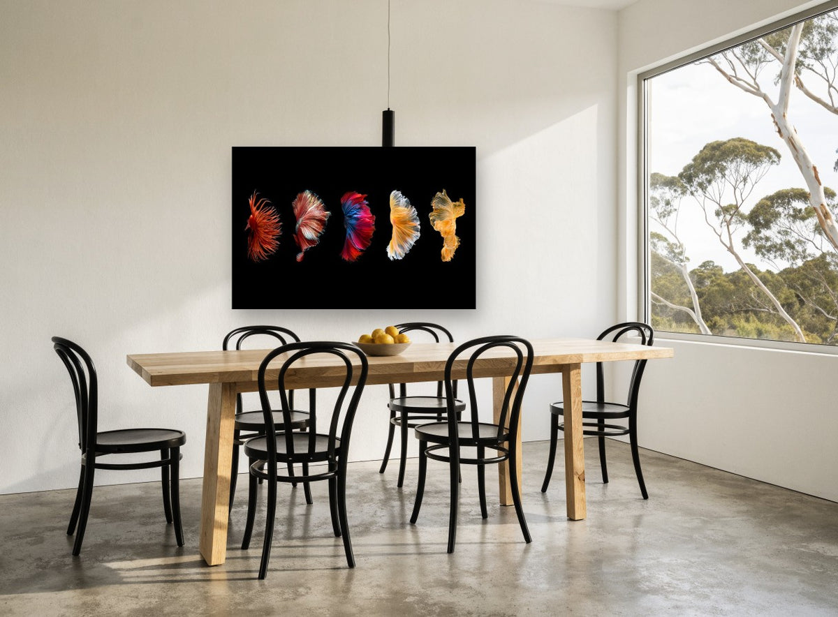 Five Fins in Motion animal canvas print on the wall of a dining room