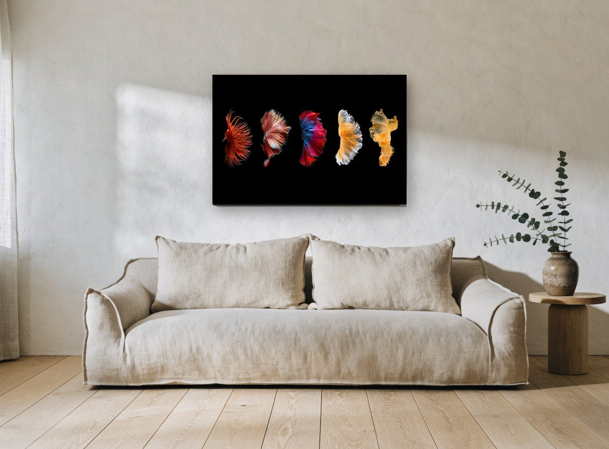 Five Fins in Motion animal canvas print on the wall of a living room