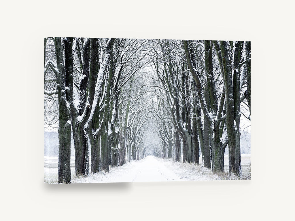 Snowy Avenue Hush, snow covered tree avenue photograph, landscape canvas wall art print ready to hang