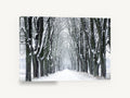 Snowy Avenue Hush, snow covered tree avenue photograph, landscape canvas wall art print ready to hang