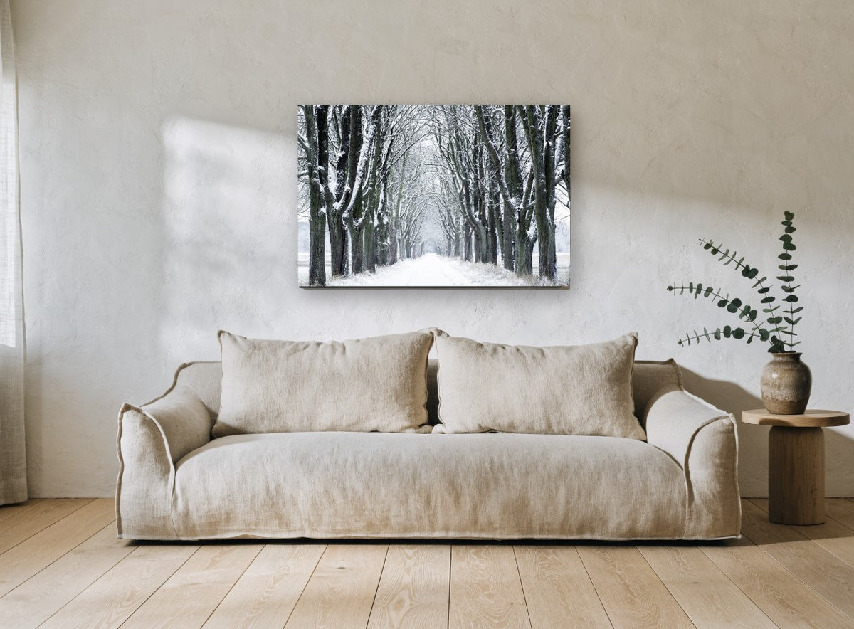 Snowy Avenue Hush landscape canvas print on the wall of a living room