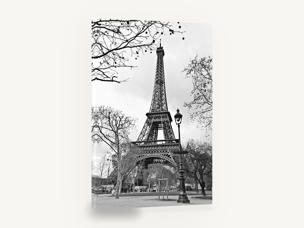Eiffel Bare Branch Lamplight, eiffel tower black and white photograph, city canvas wall art print ready to hang