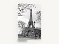 Eiffel Bare Branch Lamplight, eiffel tower black and white photograph, city canvas wall art print ready to hang