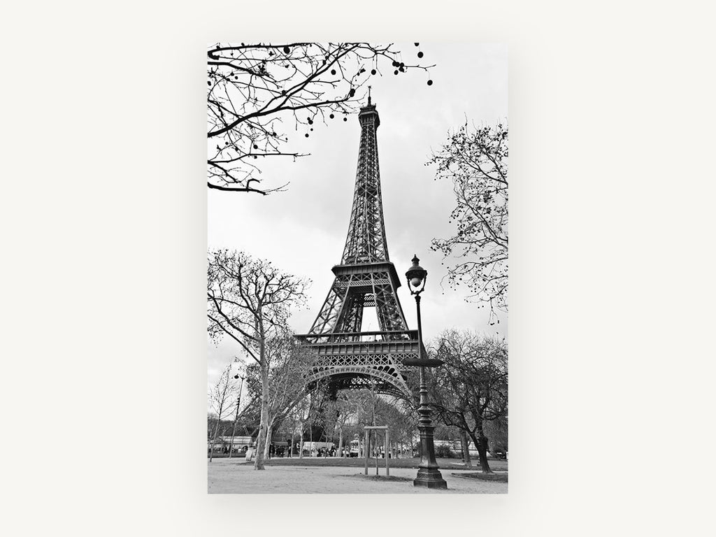 Eiffel Bare Branch Lamplight, eiffel tower black and white photograph, city canvas wall art print, front view
