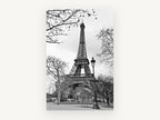 Eiffel Bare Branch Lamplight, eiffel tower black and white photograph, city canvas wall art print, front view