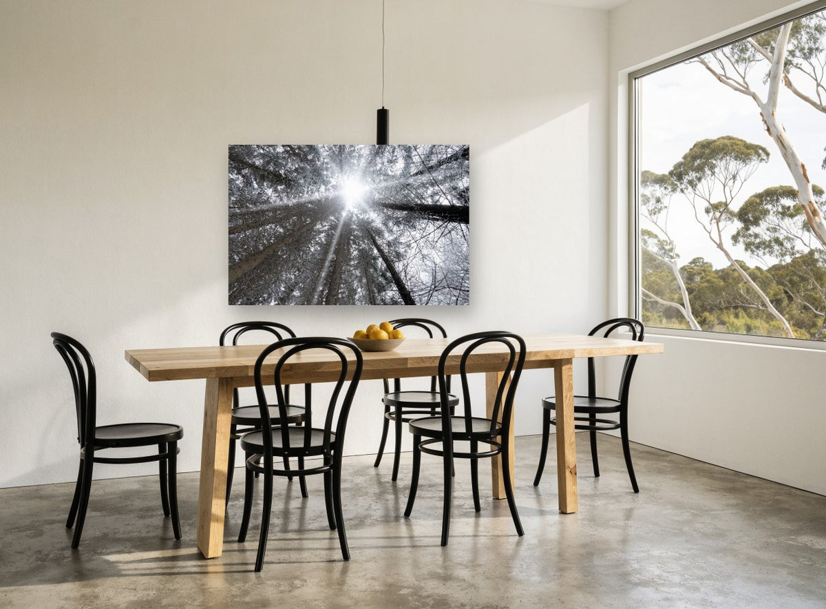 Frosted Canopy Burst landscape canvas print on the wall of a dining room