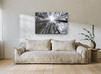 Frosted Canopy Burst landscape canvas print on the wall of a living room