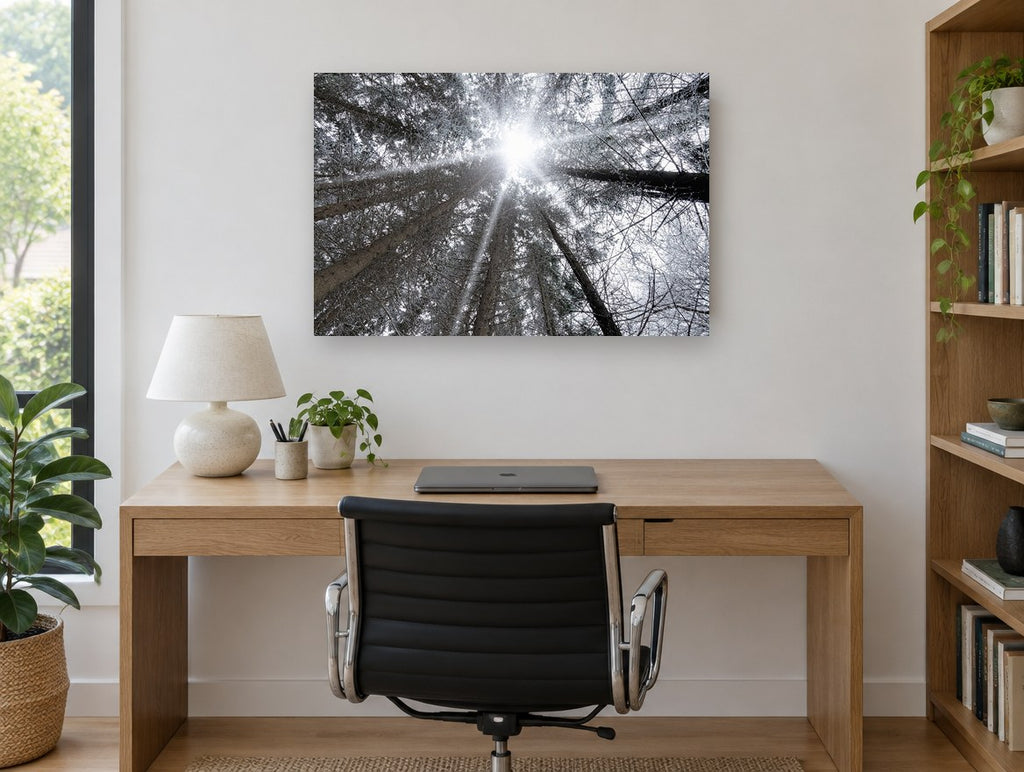 Frosted Canopy Burst landscape canvas print on the wall of a study