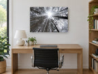 Frosted Canopy Burst landscape canvas print on the wall of a study