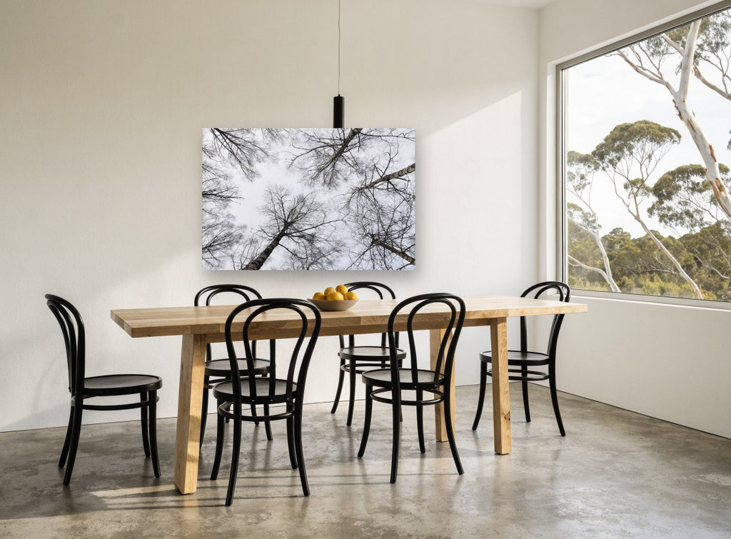 Bare Birch Canopy landscape canvas print on the wall of a dining room