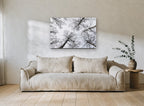 Bare Birch Canopy landscape canvas print on the wall of a living room