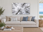 Bare Birch Canopy landscape canvas print on the wall of a beach house living room