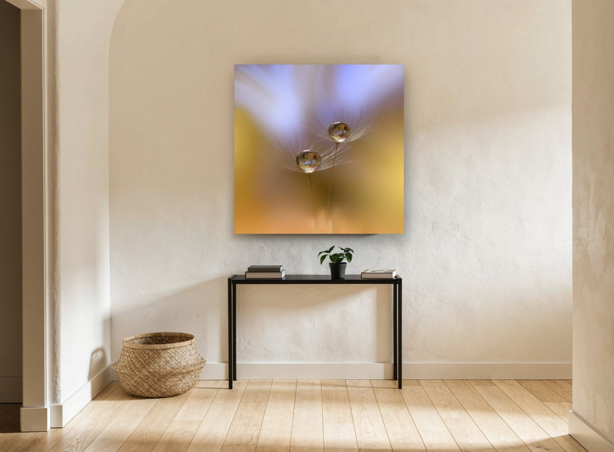Dewdrop Seed Pair floral canvas print on the wall of a hallway