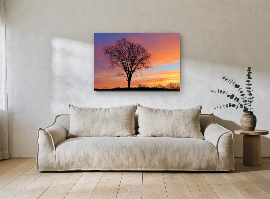 Bare Elm at Dusk landscape canvas print on the wall of a living room
