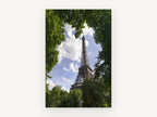 Eiffel Through the Leaves, eiffel tower framed by trees photograph, city canvas wall art print, front view