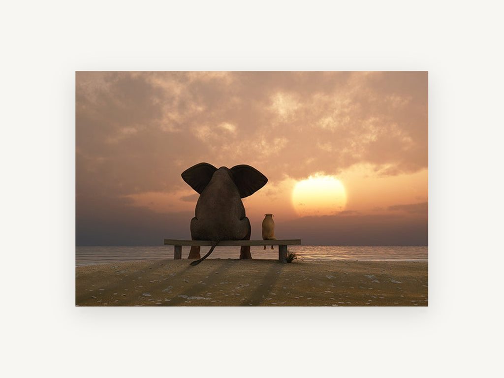 Sunset Companions, coastal canvas wall art print, front view