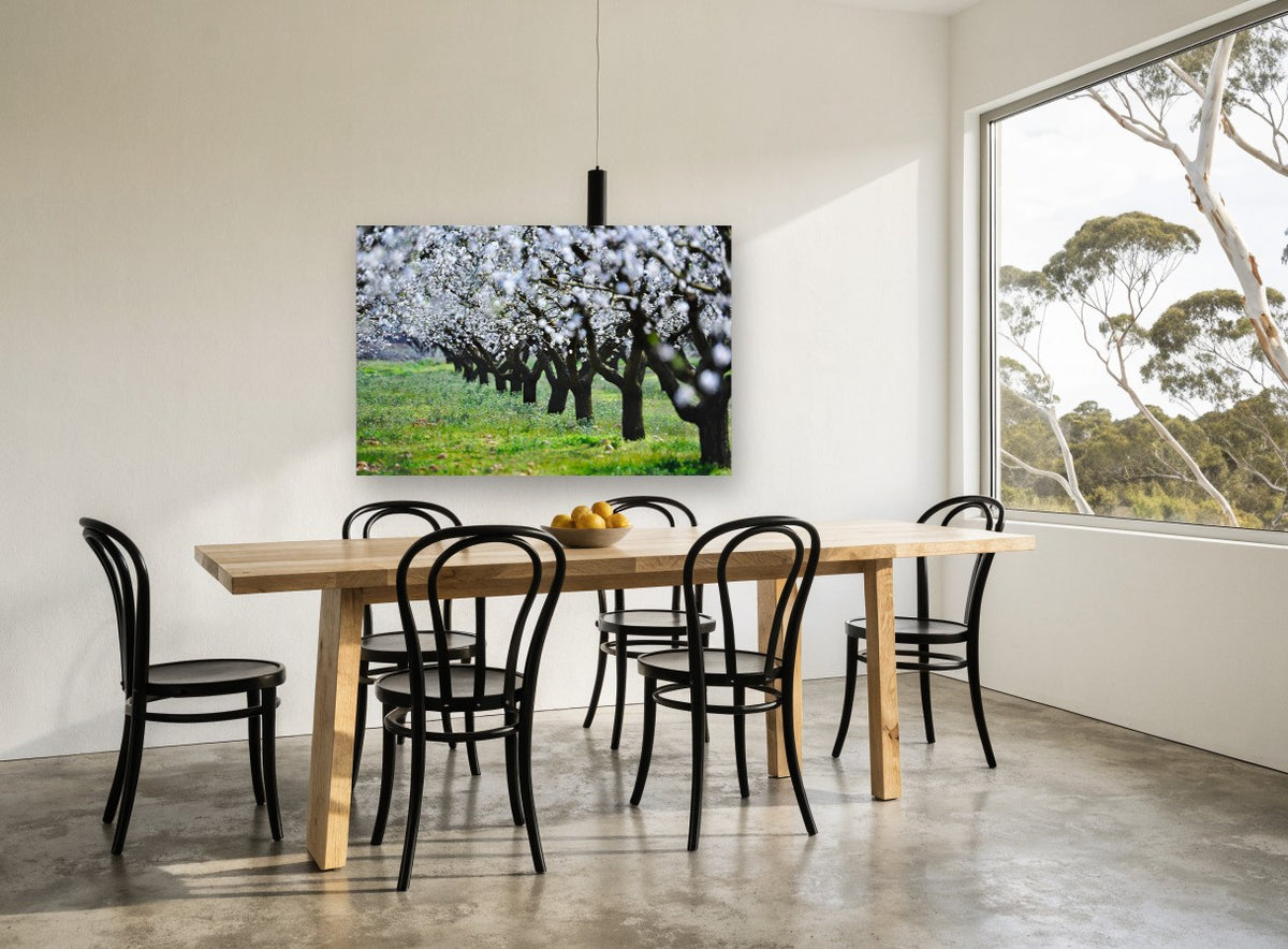 Almond Orchard in Bloom floral canvas print on the wall of a dining room