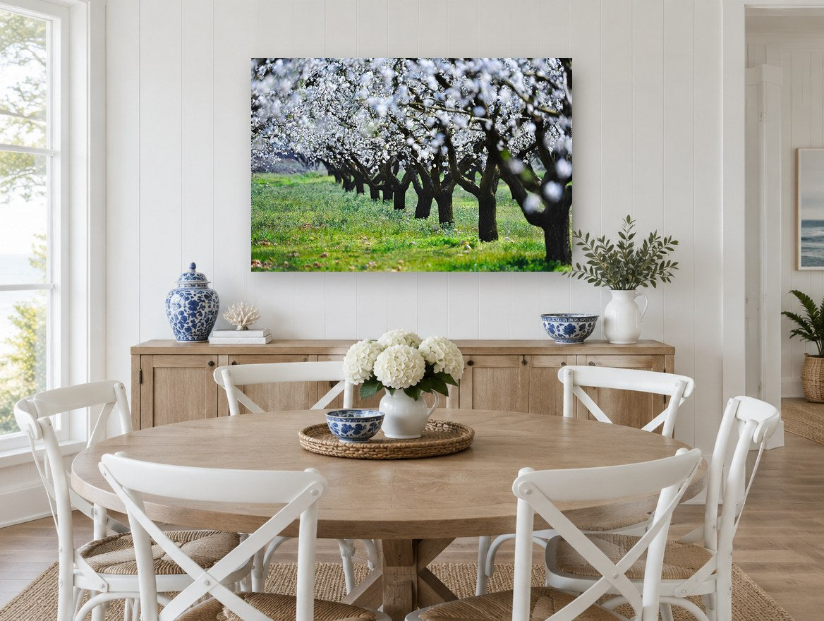 Almond Orchard in Bloom floral canvas print on the wall of a Hamptons dining room