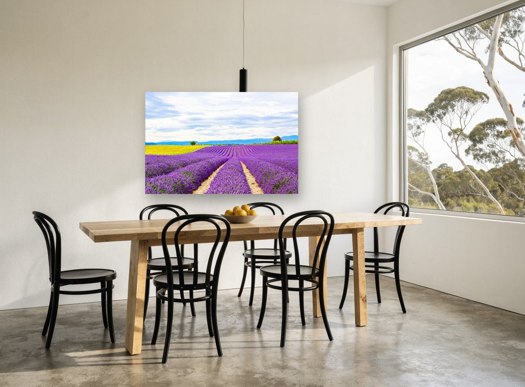 Lavender Rows Meeting Yellow landscape canvas print on the wall of a dining room