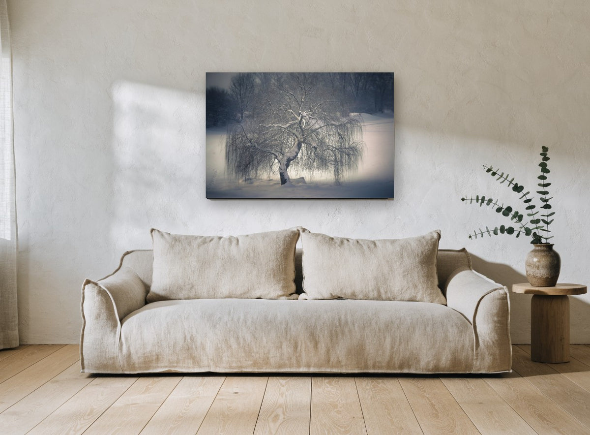 Frozen Willow Hush landscape canvas print on the wall of a living room