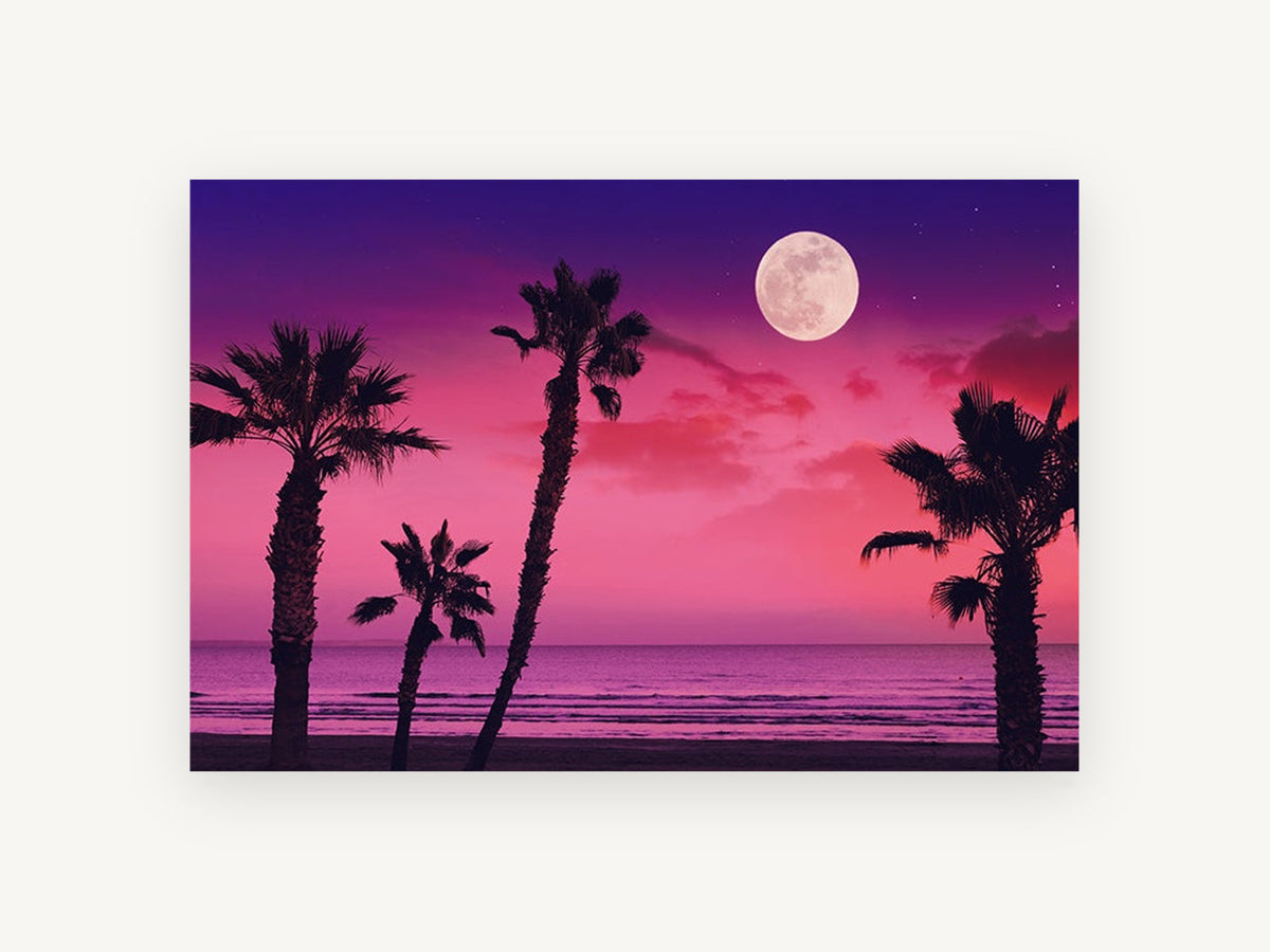 Pink Moonrise Palms, coastal canvas wall art print, front view
