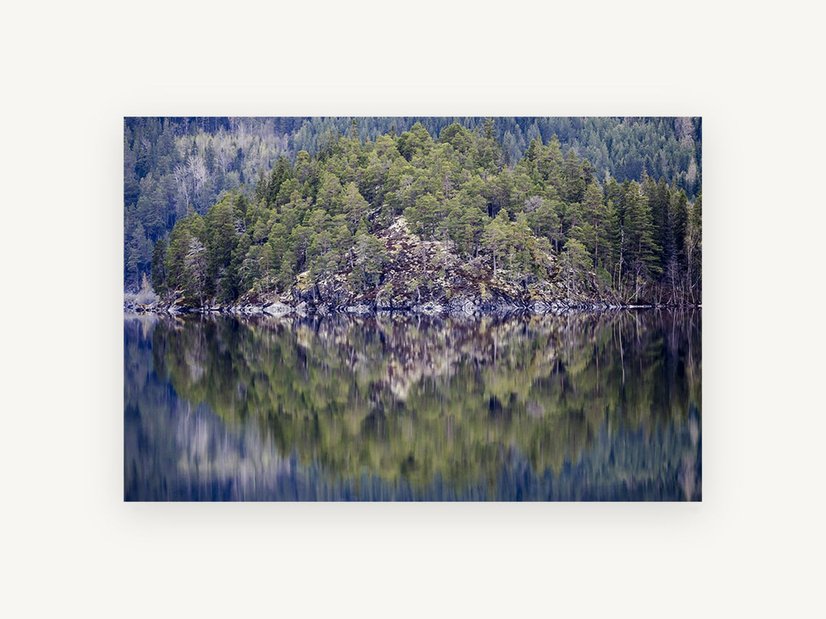 Still Lake Pines, floral canvas wall art print, front view