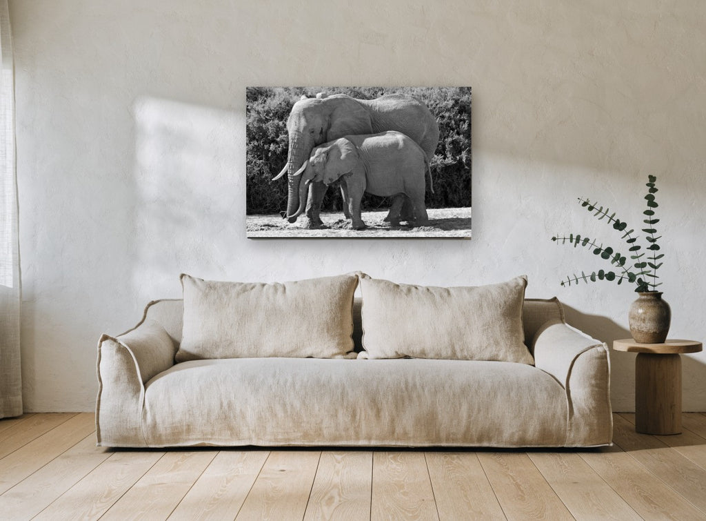 Mother and Calf Elephants animal canvas print on the wall of a living room