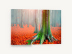 Mossy Beech Autumn Floor, autumn forest mossy tree photograph, floral canvas wall art print ready to hang