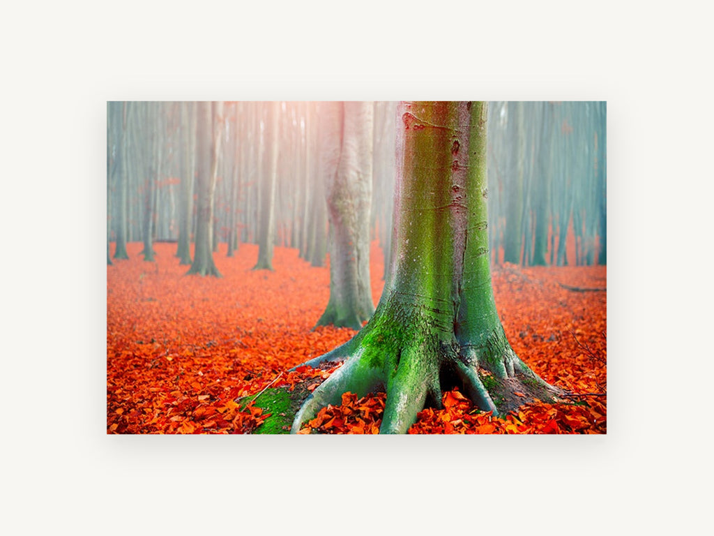 Mossy Beech Autumn Floor, floral canvas wall art print, front view
