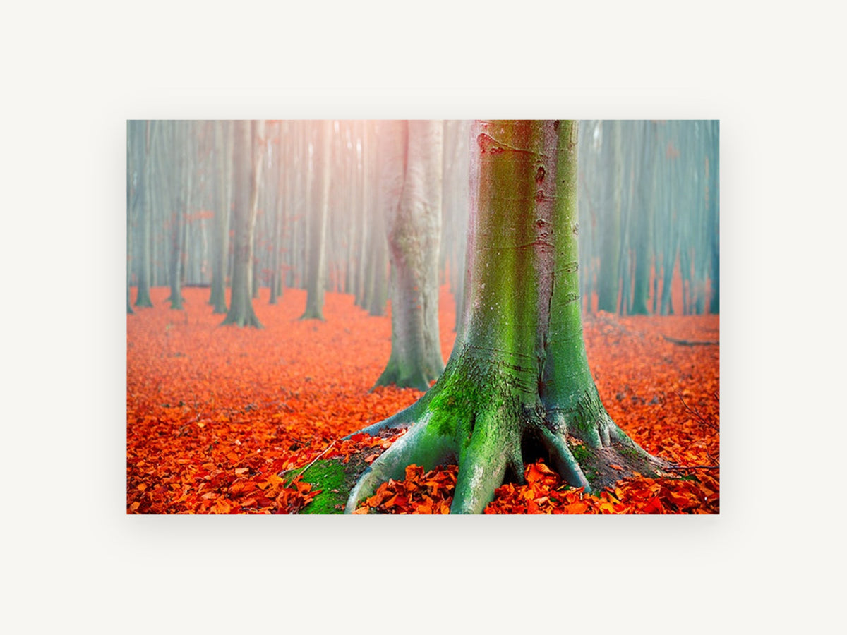 Mossy Beech Autumn Floor, floral canvas wall art print, front view