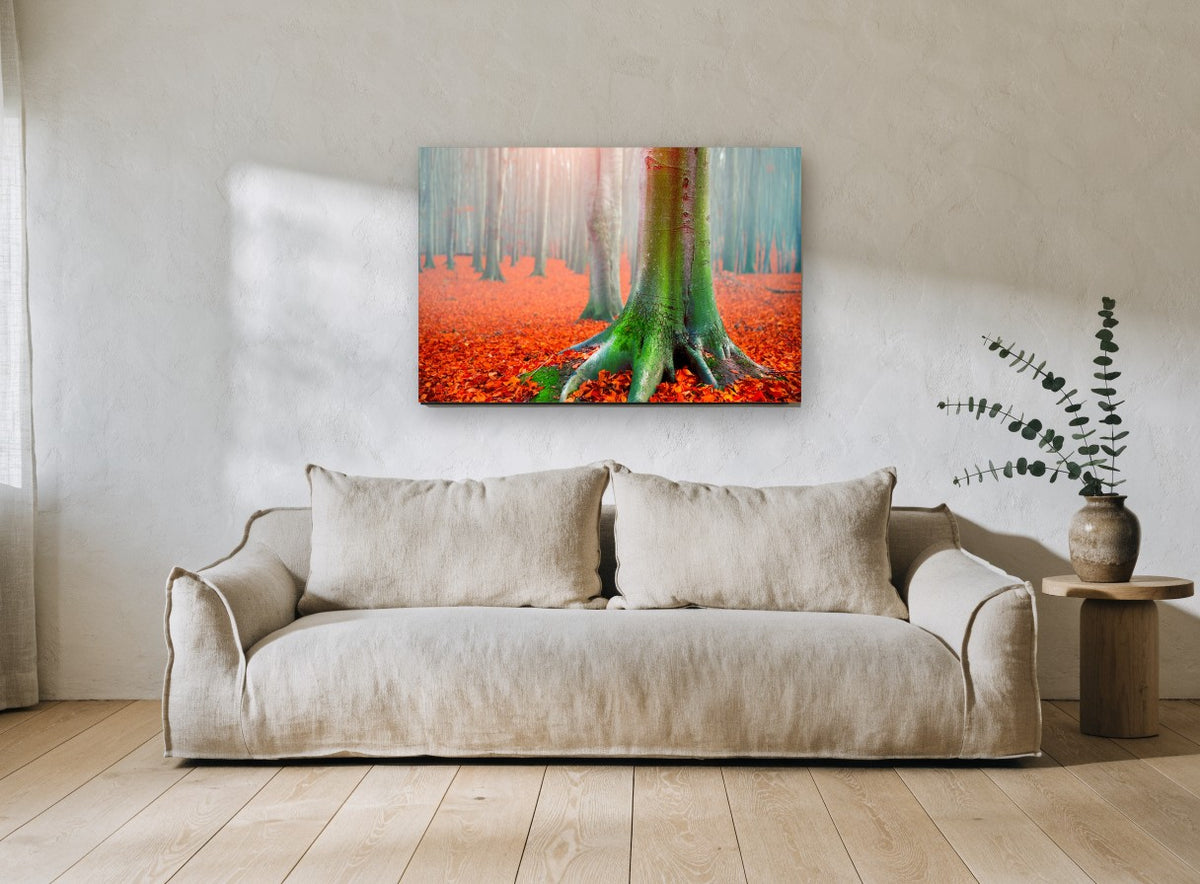 Mossy Beech Autumn Floor floral canvas print on the wall of a living room