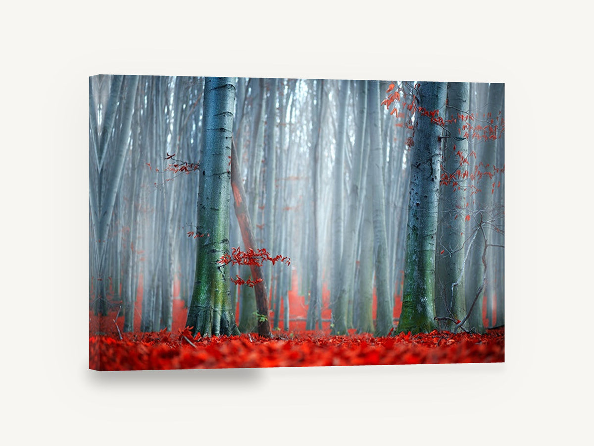 Red Beech Mist, misty beech forest red autumn leaves, floral canvas wall art print ready to hang