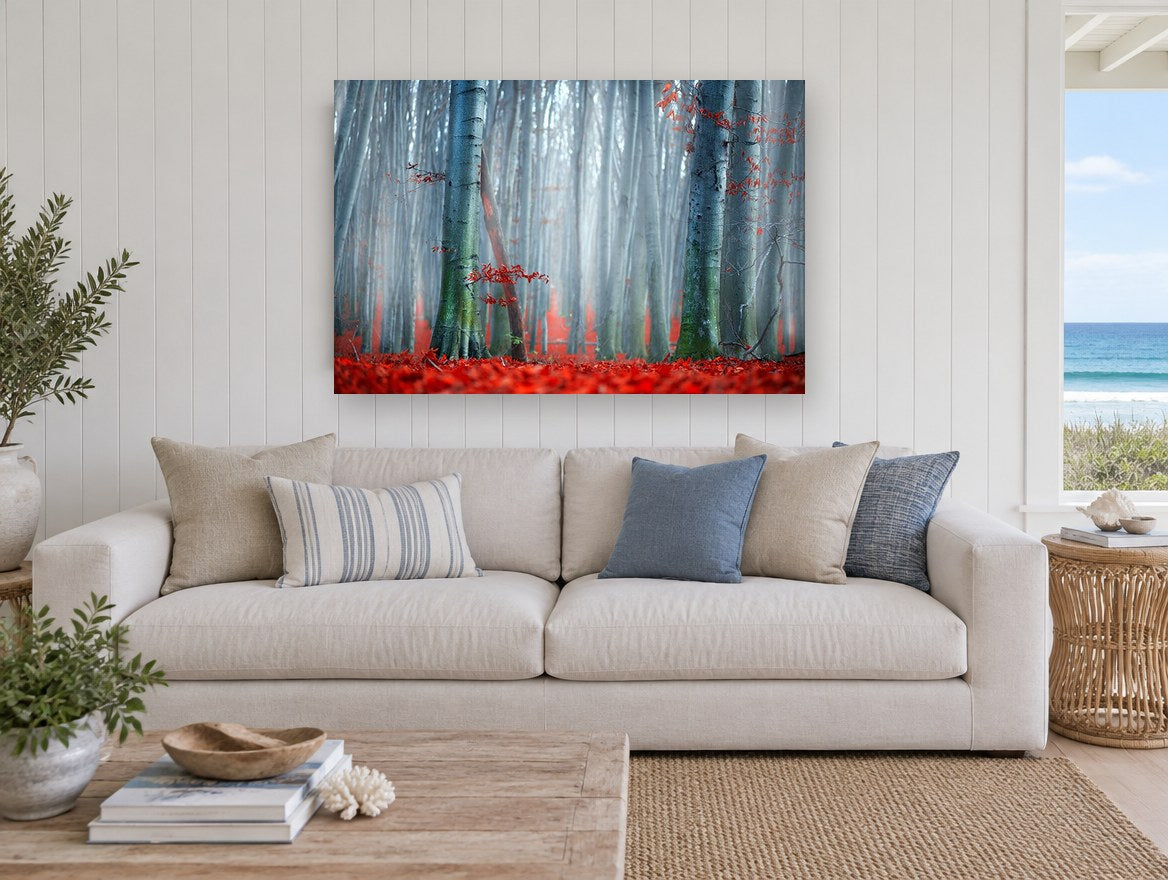 Red Beech Mist floral canvas print on the wall of a beach house living room
