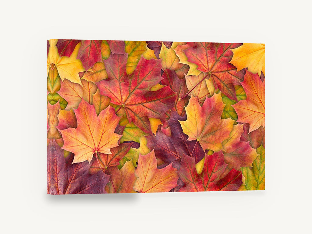 Autumn Maple Carpet, autumn maple leaves photograph, floral canvas wall art print ready to hang