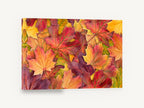 Autumn Maple Carpet, autumn maple leaves photograph, floral canvas wall art print ready to hang