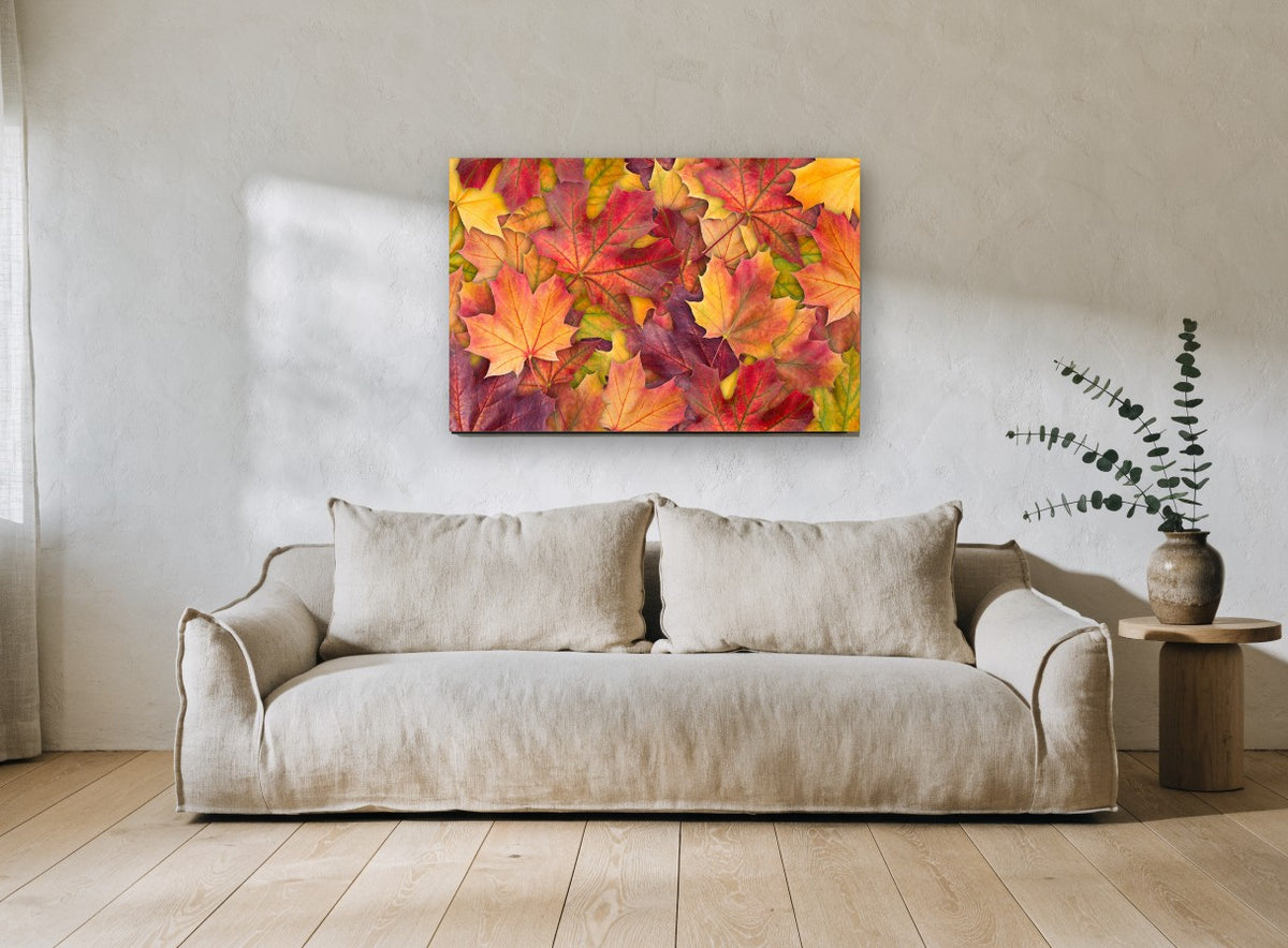 Autumn Maple Carpet floral canvas print on the wall of a living room