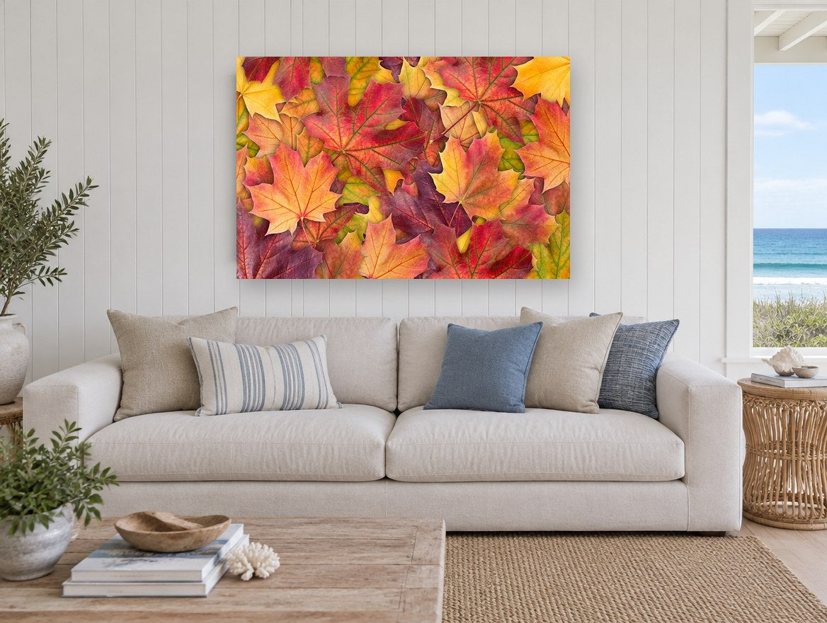 Autumn Maple Carpet floral canvas print on the wall of a beach house living room