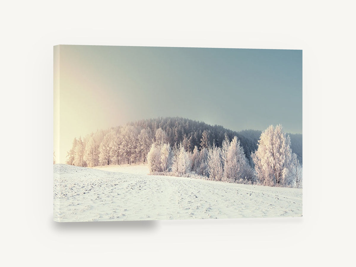 Frosted Hill Dawn, frosted winter forest sunrise photograph, landscape canvas wall art print ready to hang