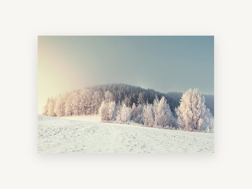 Frosted Hill Dawn, frosted winter forest sunrise photograph, landscape canvas wall art print, front view
